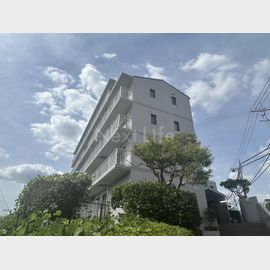 岸根公園駅より徒歩7分 3階 築37年の賃貸物件