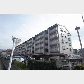 矢部駅より徒歩14分 5階 築31年10ヶ月の賃貸物件