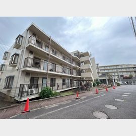 ワイワイパレス 3階 築34年11ヶ月の賃貸物件