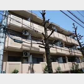 分倍河原駅より徒歩10分 1階 築37年の賃貸物件