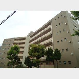 鷺沼スタードエリング 5階 築57年1ヶ月の賃貸物件