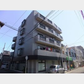 テルス川崎中島レジデンス 4階 築34年11ヶ月の賃貸物件