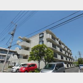 グレース美堀 3階 築37年2ヶ月の賃貸物件