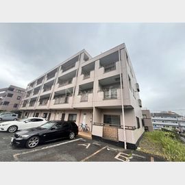 サンシャインヒルズ 1階 築35年2ヶ月の賃貸物件