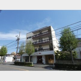 ヨシトモビル 3階 築61年の賃貸物件