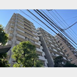 川崎駅より徒歩11分 4階 築33年8ヶ月の賃貸物件