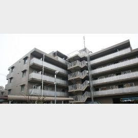 中野島駅より徒歩14分 築28年8ヶ月 5階建の賃貸物件