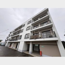 アルファ鷺沼 4階 築57年10ヶ月の賃貸物件