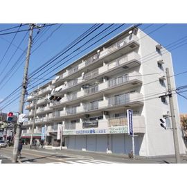 ラヴェニール鹿島 3階 築39年4ヶ月の賃貸物件