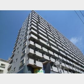 ライオンズプラザ淵野辺 5階 築33年9ヶ月の賃貸物件