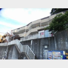 スターダスト向ヶ丘A棟 2階 築39年5ヶ月の賃貸物件
