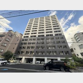 ライジングプレイス川崎 15階 築10年5ヶ月の賃貸物件