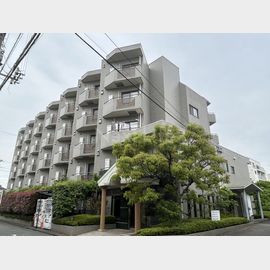 FLATS 3階 築29年5ヶ月の賃貸物件