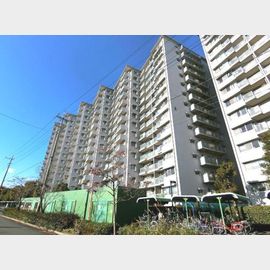 中野島駅より徒歩2分 8階 築38年5ヶ月の賃貸物件