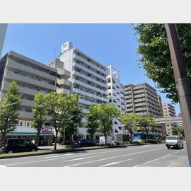 スカイコート川崎2 3階 築37年11ヶ月の賃貸物件