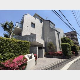 スターブル中原 2階 築34年5ヶ月の賃貸物件