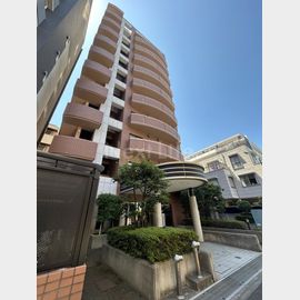 カールトンプラザ川崎 3階 築27年8ヶ月の賃貸物件