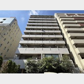 ルネ川崎 7階 築36年2ヶ月の賃貸物件