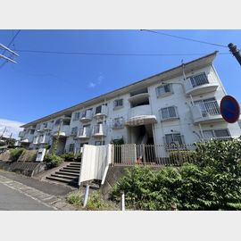 東高根ハイツ永井 2階 築41年6ヶ月の賃貸物件