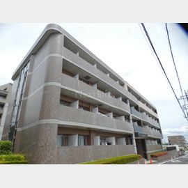 中央大学・明星大学駅より徒歩5分 4階 築28年11ヶ月の賃貸物件