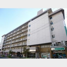 国領駅より徒歩4分 6階 築50年11ヶ月の賃貸物件