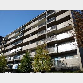 府中駅より徒歩14分 築33年9ヶ月 7階建の賃貸物件