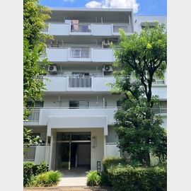 エステート上水本町６号棟 3階 築42年10ヶ月の賃貸物件