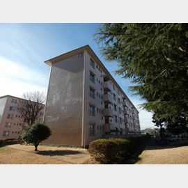 立川柏町団地１４号棟 2階 築54年8ヶ月の賃貸物件