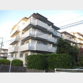 新横浜駅より徒歩13分 1階 築39年8ヶ月の賃貸物件