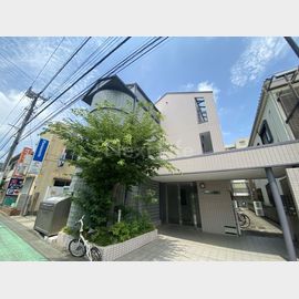 ドーミィー綱島 2階 築33年9ヶ月の賃貸物件