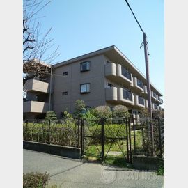 ヴェルドミール 2階 築31年11ヶ月の賃貸物件