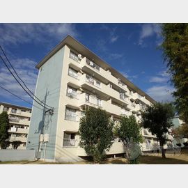 立川柏町団地１４号棟 5階 築54年10ヶ月の賃貸物件