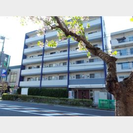 ヒューマンレジデンスの賃貸物件