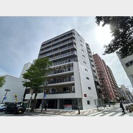 ルミーク関内II 4階 新築の賃貸物件