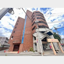 シャトー・ドゥ・ピエール 4階 築36年11ヶ月の賃貸物件