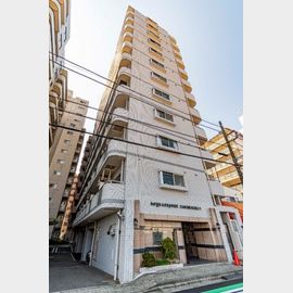 ホーユウコンフォルト相模原２ 10階 築35年1ヶ月の賃貸物件