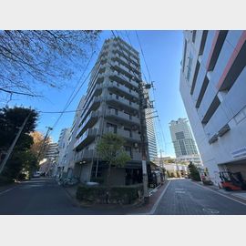 グリフィン横浜ポートサイド 11階 築26年8ヶ月の賃貸物件