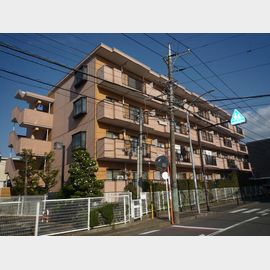 ピーチラフォンテ 2階 築33年の賃貸物件