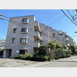 シャトレ・メイプルの賃貸物件