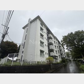片倉台団地３—８号棟 5階 築57年1ヶ月の賃貸物件