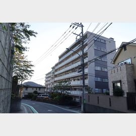 日吉第３コーポＡ棟 1階 築61年10ヶ月の賃貸物件