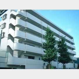 サンホワイト富士見が丘 5階 築36年5ヶ月の賃貸物件