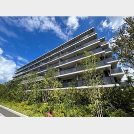 武蔵小杉駅より徒歩7分 6階 築3年2ヶ月の賃貸物件