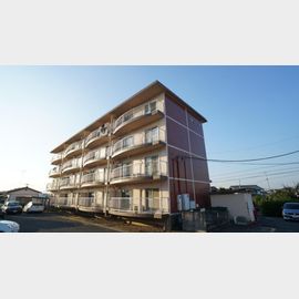 石岡駅より徒歩9分 4階 築41年1ヶ月の賃貸物件