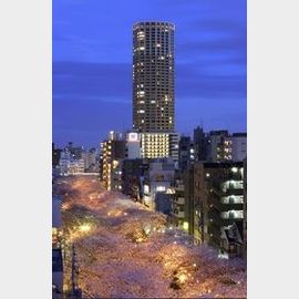 中目黒駅より徒歩2分 6階 築16年8ヶ月の賃貸物件