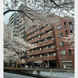 グリーンキャピタル広尾の賃貸物件