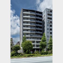 白山駅より徒歩7分 10階 新築の賃貸物件