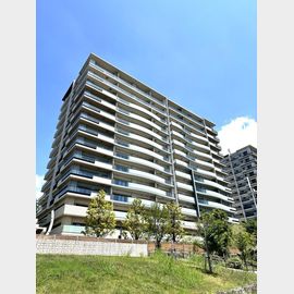 HARUMI FLAG SEA VILLAGE C棟 14階 築2年6ヶ月の賃貸物件