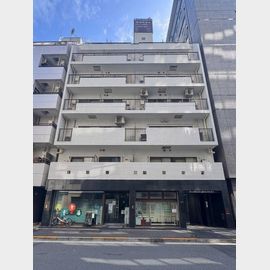 ライオンズマンション新富町第2の賃貸物件