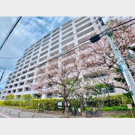 中延駅より徒歩6分 築17年9ヶ月 12階建の賃貸物件